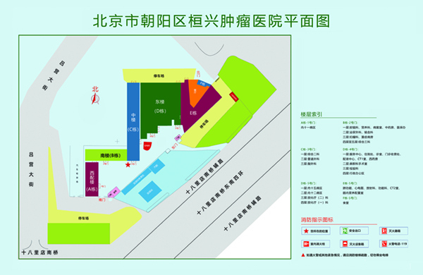 操逼啊啊啊不要啊视频污北京市朝阳区桓兴肿瘤医院平面图